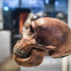 A skull on display as part of the Neanderthal exhibition at the Musee de l’Homme in Paris on March 26, 2018.